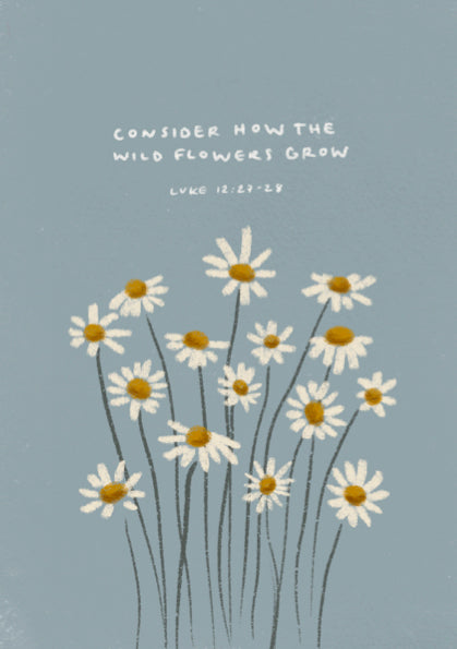 Consider how the wildflowers grow