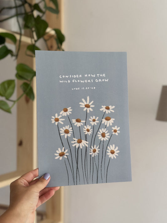 Consider the Wildflowers